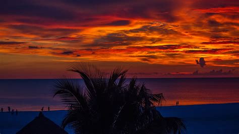 1920x1080 Sunset Palm Trees Ocean Beautiful View 4k Laptop