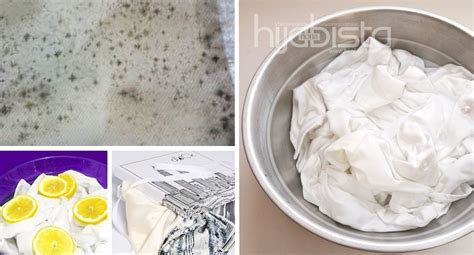 Berikut ini cara menghilangkan tahi lalat yang mudah serta aman, seperti yang dirangkum liputan6.com pada jumat (21/9/2018). Ini 6 Cara Mudah Dan Murah Hilangkan Tudung & Baju Yang ...