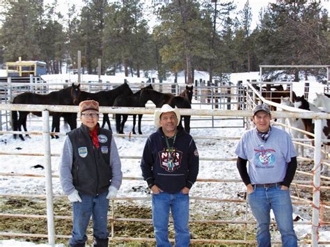 Native Sun News Today Northern Cheyenne Tribe Rounds Up Horses