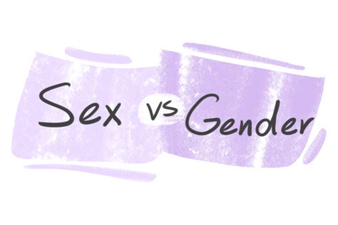 Sex Vs Gender In English Langeek