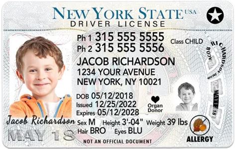 New York Kid Driver License For Children Under 12 1 Cute Pooch