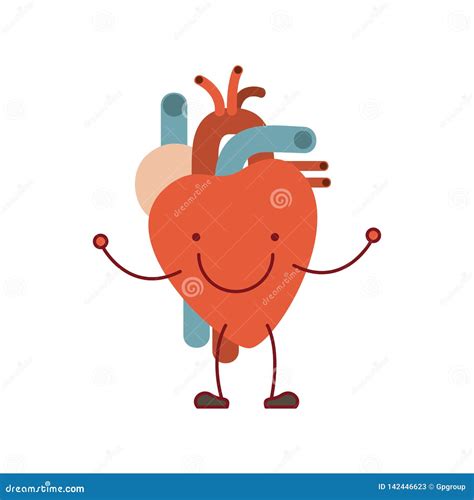 Colorful Silhouette Caricature With Happy Face Circulatory System With