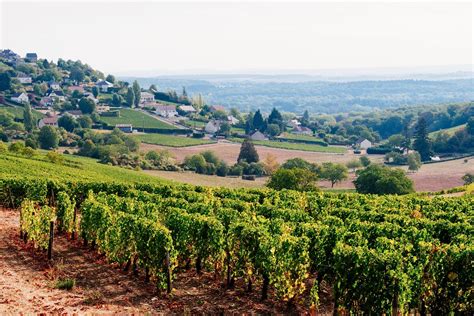 a beginner s guide to the loire valley and its iconic wines wine enthusiast