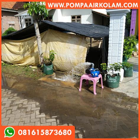 Nosel jet pump buntu penyebab sanyo jet pump tidak mau ngangkat air. Sanyo Jet Pump 500 Watt - Jual Pompa Air Kolam Ikan Murah ...