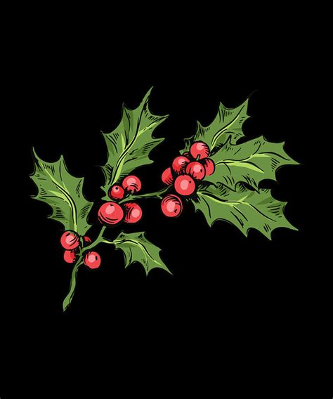 Mistletoe Drawing Christmas Feeling Digital Art By Norman W Pixels