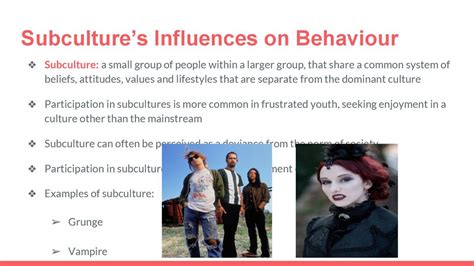 Culture Deviance Alienation And Subculture Ppt Download