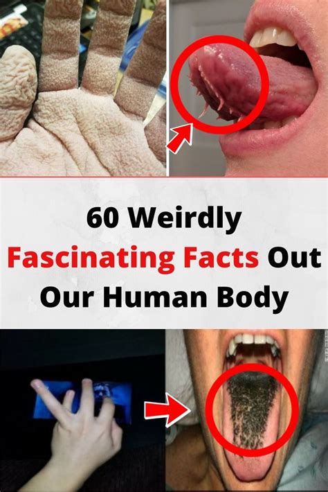 76 Exceptionally Weird Facts About The Human Body Weird Facts Fun