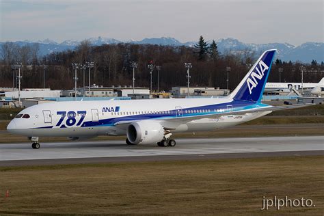 Photos The Wonderful Liveries Of The Boeing 787 Dreamliner