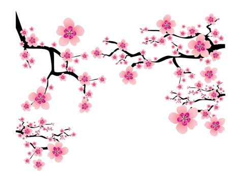 Free Cherry Blossom Flower Png Download Free Cherry Blossom Flower Png Png Images Free