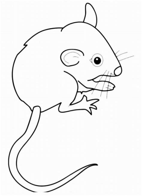 Malvorlagen zum drucken ausmalbild maus kostenlos 2