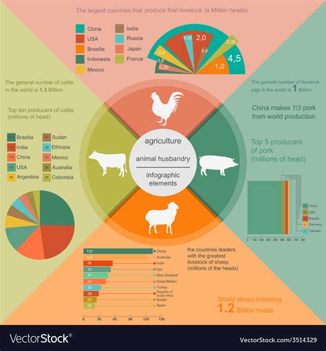 Agriculture Animal Husbandry Infographics Vector Image