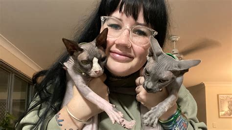 Fundraiser For Lauren Childs By Alana Jones Help Lauren With Her Cats