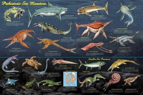 Laminated Prehistoric Sea Monsters Poster 61x91cm