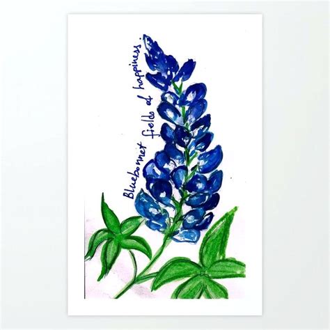 Choose from cartoon of bluebonnet flower stock illustrations from istock. Bluebonnet Flower Drawing | Free download on ClipArtMag