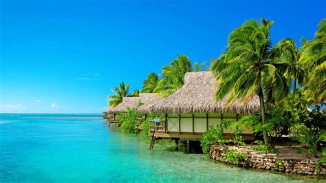 Maldives Resort Palm Trees Travel 4k Ultra Hd Preview
