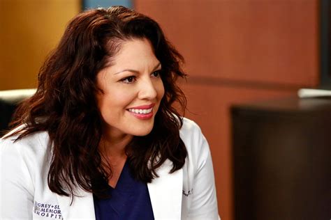 what s sara ramirez doing after grey s anatomy callie torres has been in everything from
