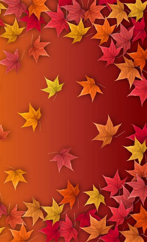 Autumn Color Leaf Hd Phone Wallpaper Peakpx
