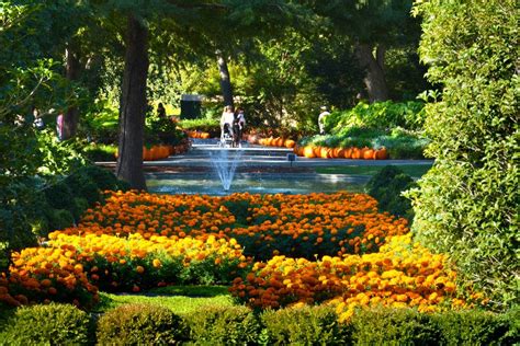 Find the perfect dallas arboretum and botanical garden stock photos and editorial news pictures from getty images. Vote - Dallas Arboretum and Botanical Garden - Best ...