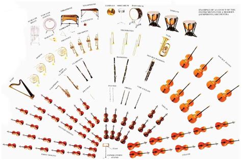 Instrument Of A Symphony Of And Layout Of The Instruments For A