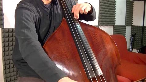 Canon In D Double Bass Youtube