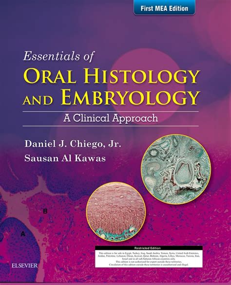 Essentials Of Oral Histology And Embryology Mena Adapted Reprint Edition 1 By Daniel J
