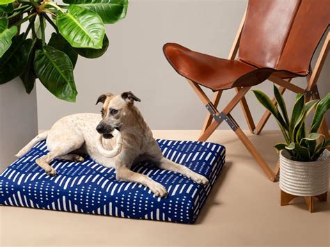 The Best Dog Beds Reviewed By Pet Parents 2023 Etsy