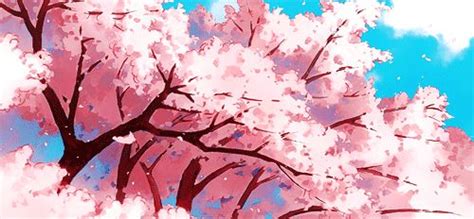 Cherry Blossoms Via Tumblr Cute Stuff Anime Art