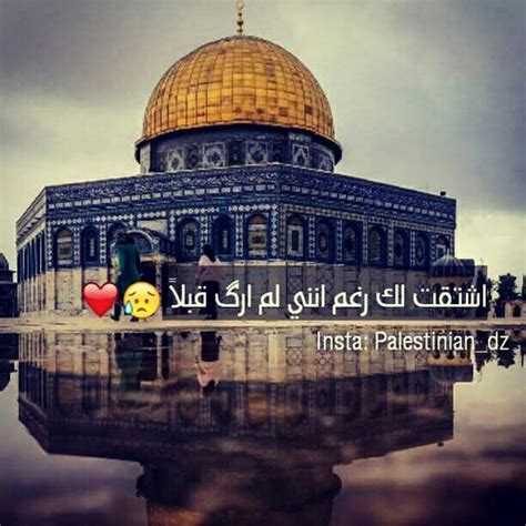 رفع الله قدرك وفرج همك وبلغك شهر رمضان الذي احبه. رسالة تهنئة تخرج لصديقتي - ليدي بيرد