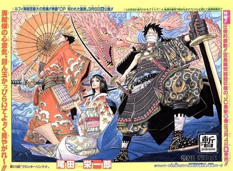 Zou Arc Summary/Review and Predictions🐘 | Anime Amino
