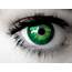 Are Green Eyes Really An Attractive Trait  SiOWfa16 Science In Our