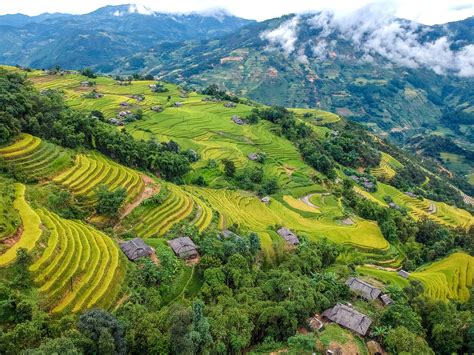 Where are the best rice terraces in Vietnam? - Captain Essy