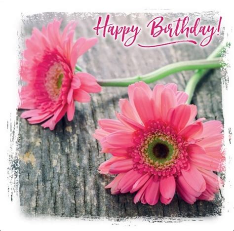 Happy Birthday Greetings Card Pink Daisy