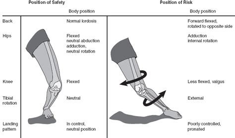 Traumatic Knee Injuries Musculoskeletal Key
