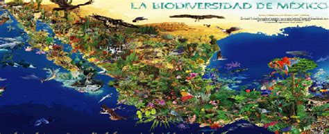 Biodiversidad En Mexico Cima