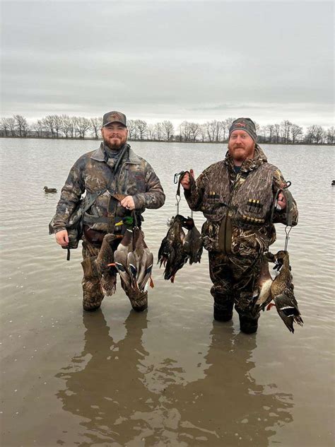 Guided Duck Hunts In Arkansas Windy Hill Outfitters