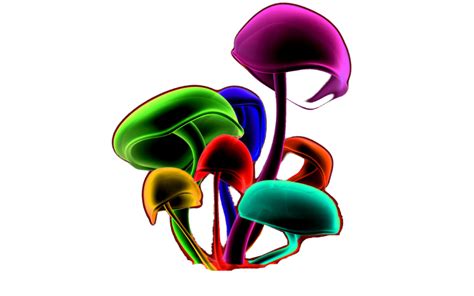 Magic Mushrooms (PSD) | Official PSDs png image