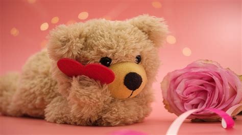 Teddy Day 2024 Why Do We Celebrate This Day In Valentines Week History And Significance Of