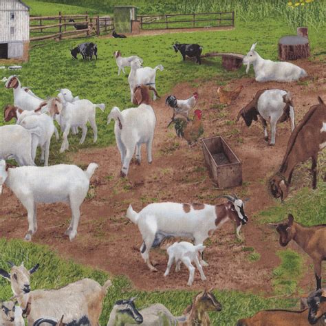 Wxyz published january 22, 2018 1 views. Goats Farm Animal Grass Pet Country Billy Goat Quilting ...