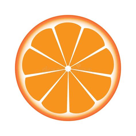 Orange Sliced In Half Stock Vector Illustration Of Healthy 59162033