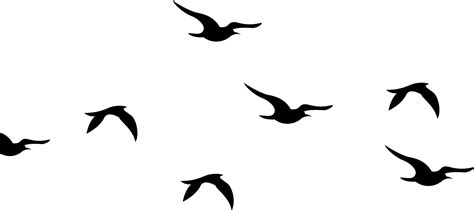 Download Bird Flock Png Silhouette Birds Clipart Black And White