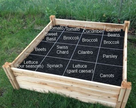 I turned the lawn in my side yard into productive abundance! 12 Inspiring Square Foot Gardening Plans-Ideas For Plant ...
