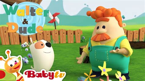 Walter And Dude 🐶 Brand New Show Only On Babytv Youtube