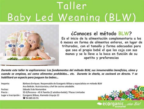 Taller De Baby Led Weaning En Bilbao ¡para Que Tu Bebé Aprenda A Comer