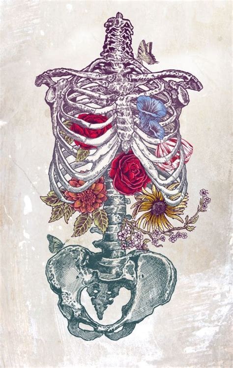 Pin By Nicki On Inspo Skeleton Art Anatomy Art Skull Art