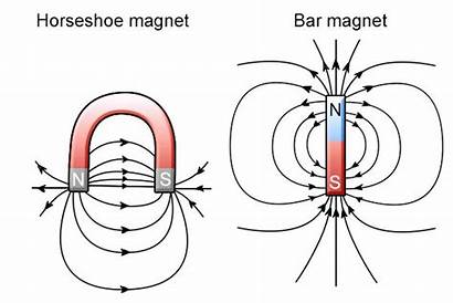 Magnet Magnetic Horseshoe Field Bar Magnets Does