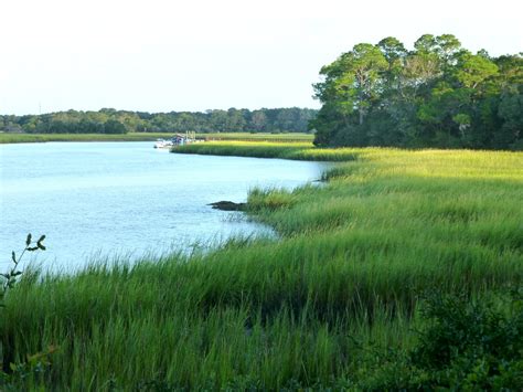 Последние твиты от kiawah island, sc (@townofkiawahsc). jeneen h. nance art: Kiawah Island, SC