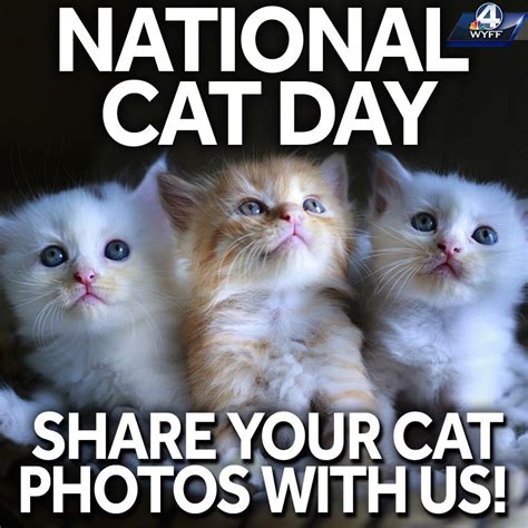 National Cat Day Wishes Images Whatsapp Images