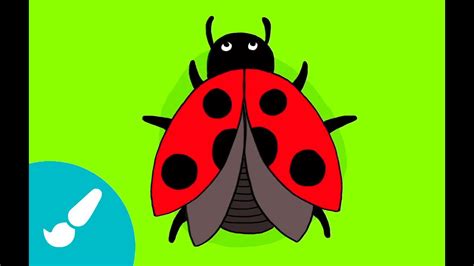 Cómo Dibujar Una Mariquita I How To Draw A Ladybug Youtube