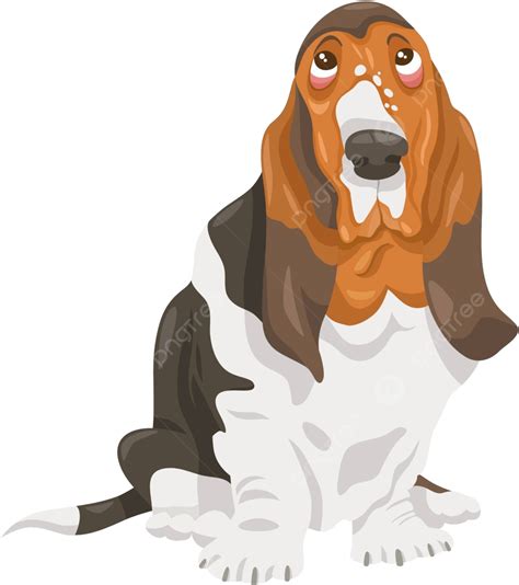 Basset Hound Dog Cartoon Illustration Graphic Dog Puppy Vector Graphic