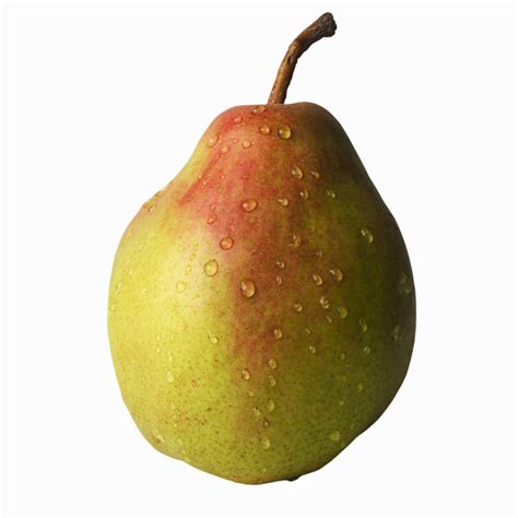 How To Grow Comice Pears